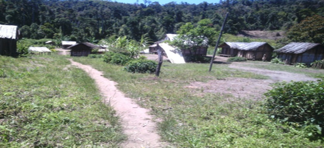 Image1