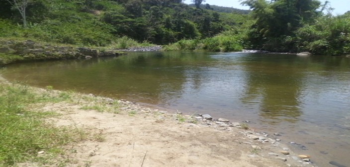Image11 Image11