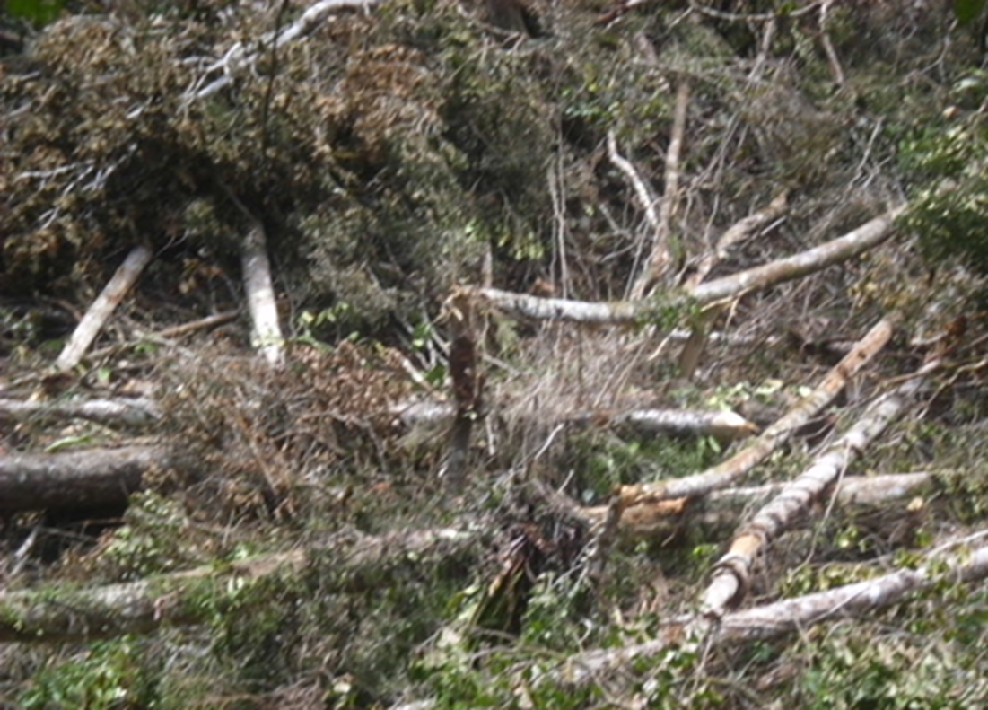 Image3